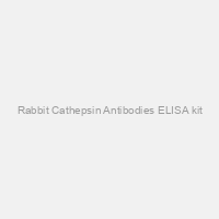 Rabbit Cathepsin Antibodies ELISA kit